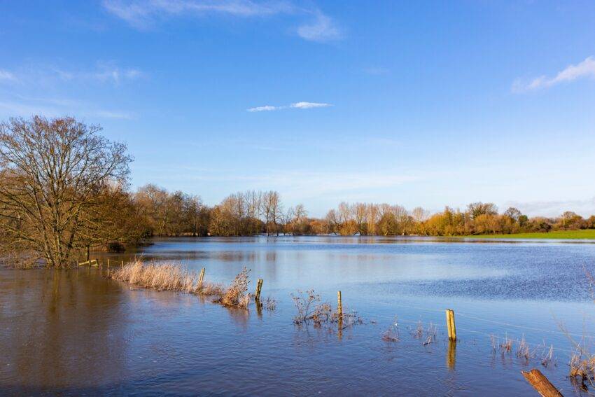Farmers sound the alarm on food prices as floods hit crops